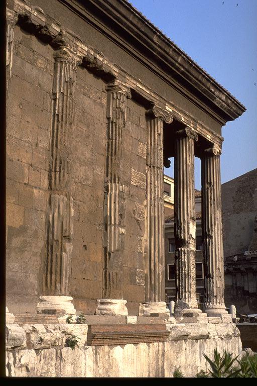 [ Temple of Fortuna Virilis: detail of coloumns ]